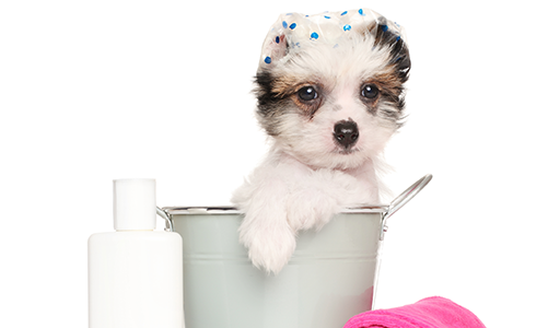 공지사항이미지1