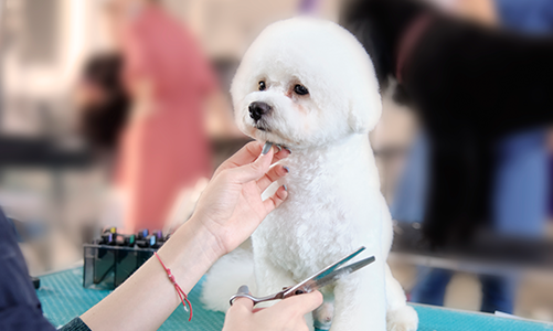 공지사항이미지2