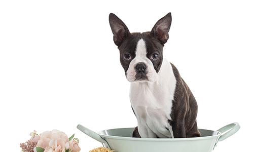 공지사항이미지2