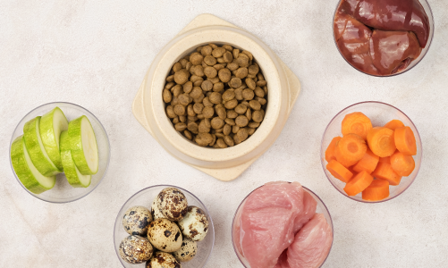 공지사항이미지1