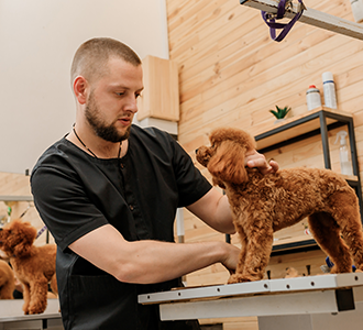 공지사항이미지3