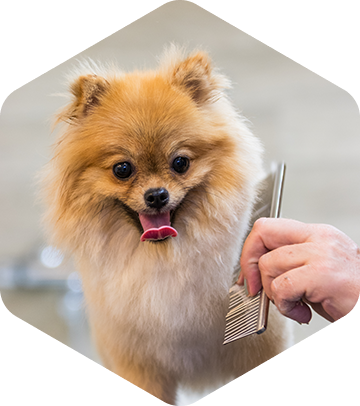 실습 중심 수강