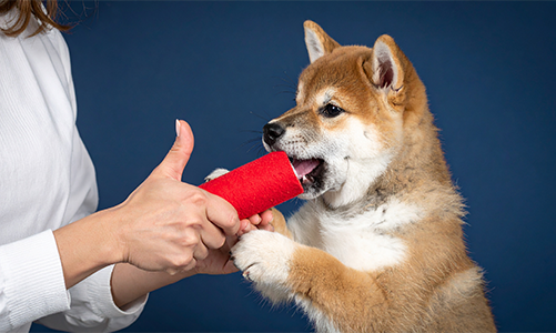 공지사항이미지2