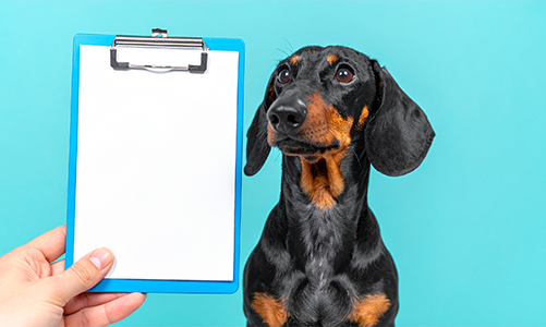 공지사항이미지1