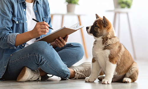 공지사항이미지3